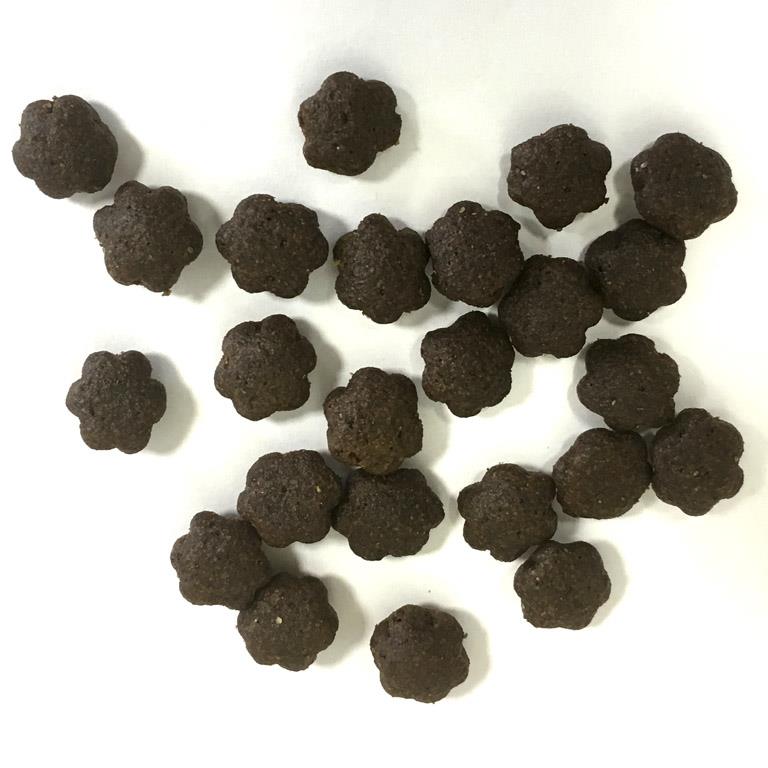 Natura Diet Grain Free Saumon & Coco 12 kg