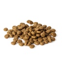 Natura Diet Puppy Starter 12 kg
