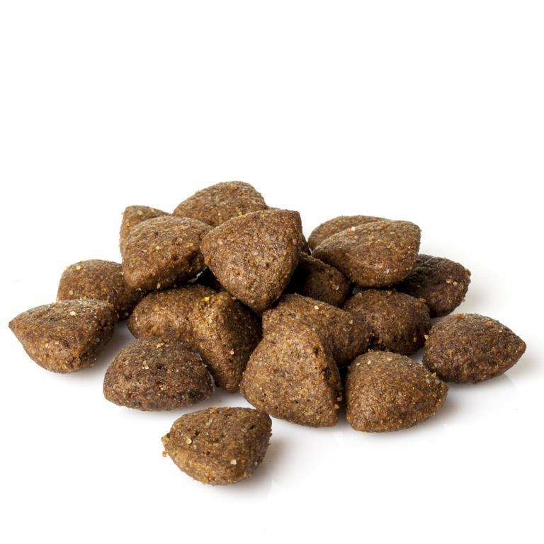 Natura Diet Fish & Riz Mini 3 kg