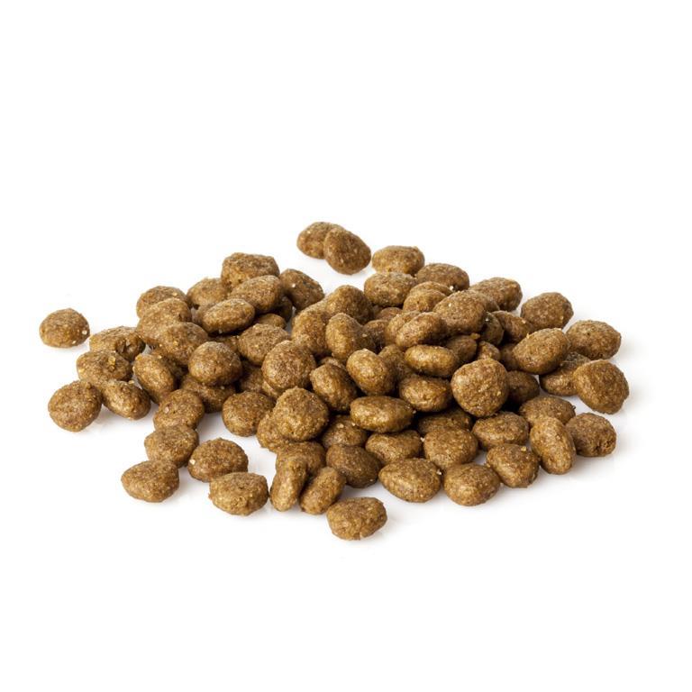 Natura Diet Puppy Starter 3 kg