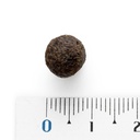 Natura Diet Daily Food Mini 3 kg