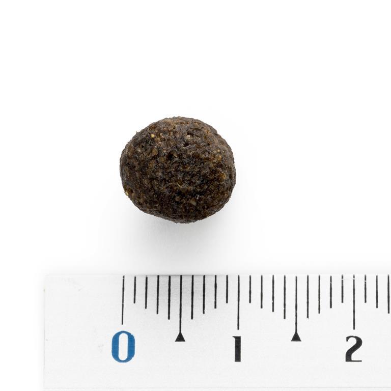 Natura Diet Agneau & Riz Mini 3 kg