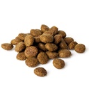 Natura Diet Puppy Junior Large Breed 3 kg