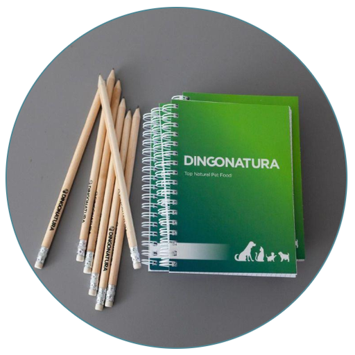 [769] [Merch] Carnets de notes Dingonatura